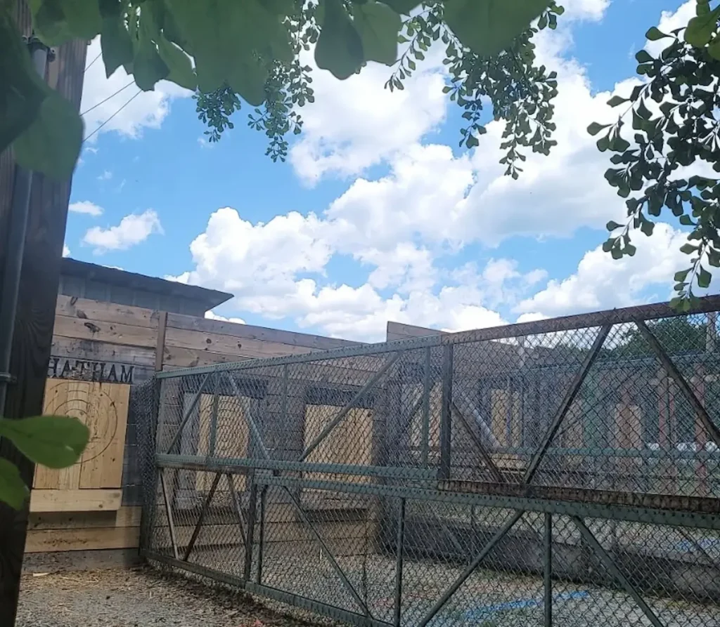 Axe Throwing Training