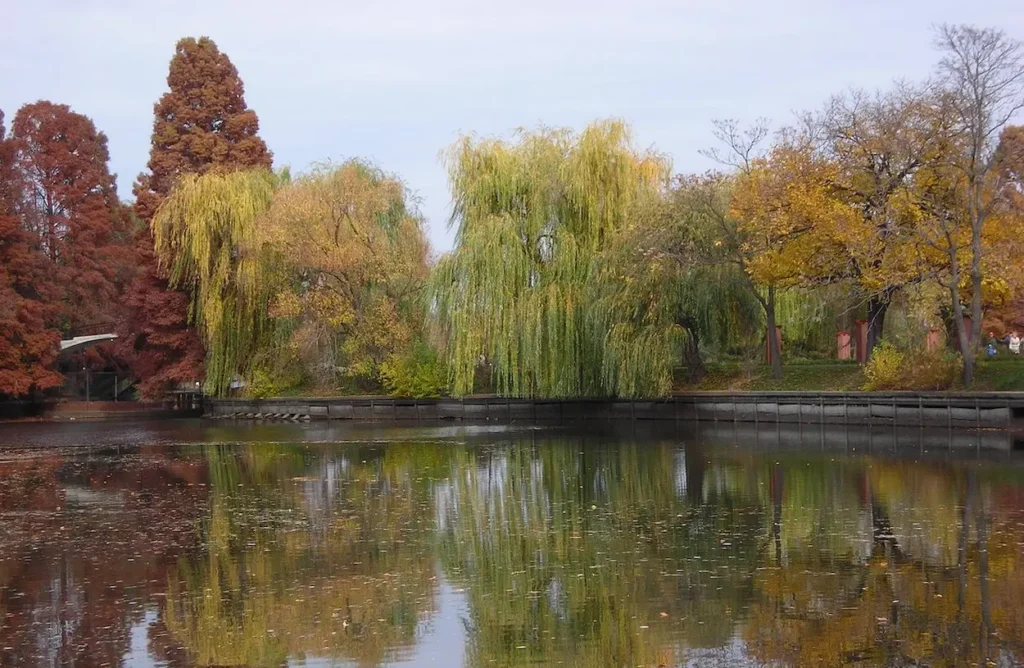 Scenic view in Bucharest