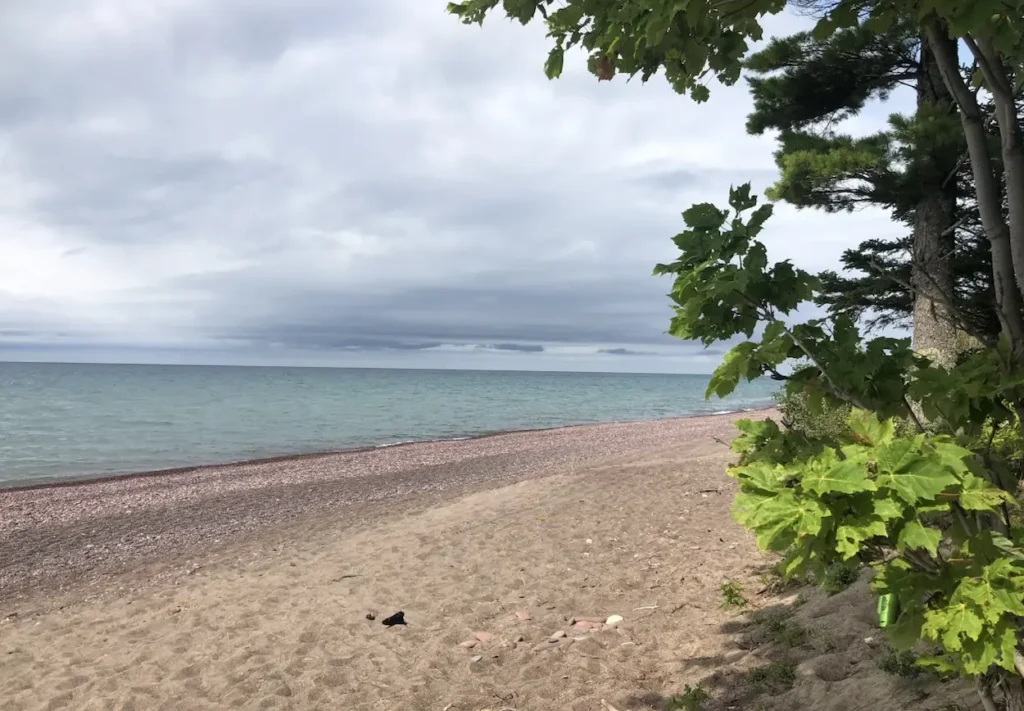 Black Creek Nature Sanctuary Hiking Trail