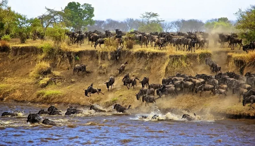 Serengeti National Park