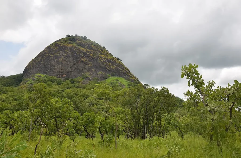 Fazao-Malfakassa National Park, Togo