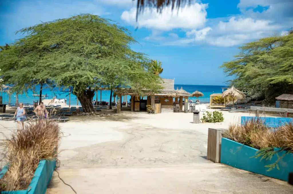 Curacao Buggy adventure