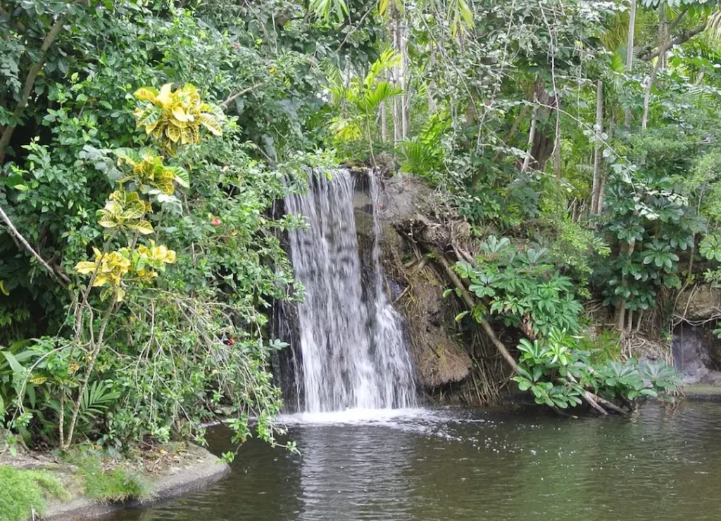 Garden of the Groves