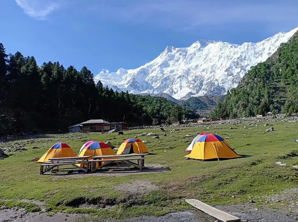 Fairy Meadows