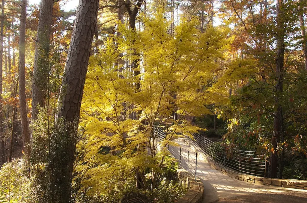 Garvan Woodland Gardens