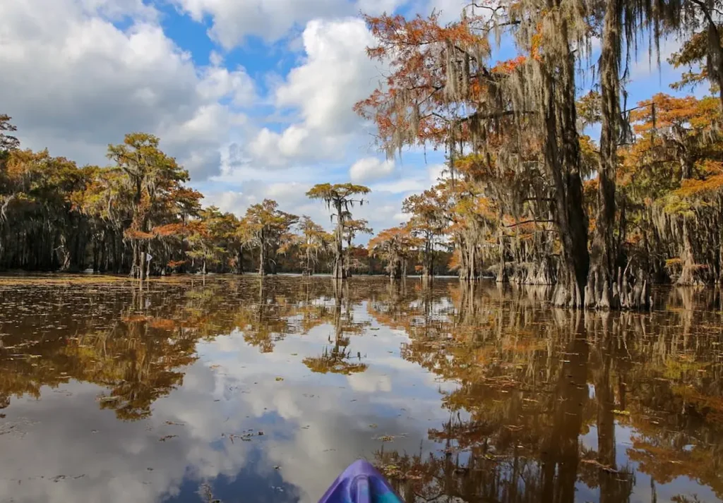 Caddo Lake