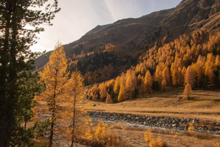 16 Epic Swiss Alps Adventures for Your Bucket List in 2026 - Global ...