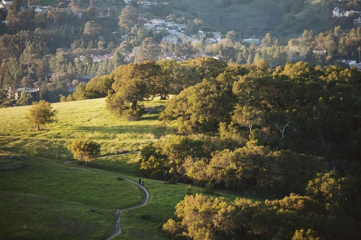 Unique Places to Visit in the Bay Area
