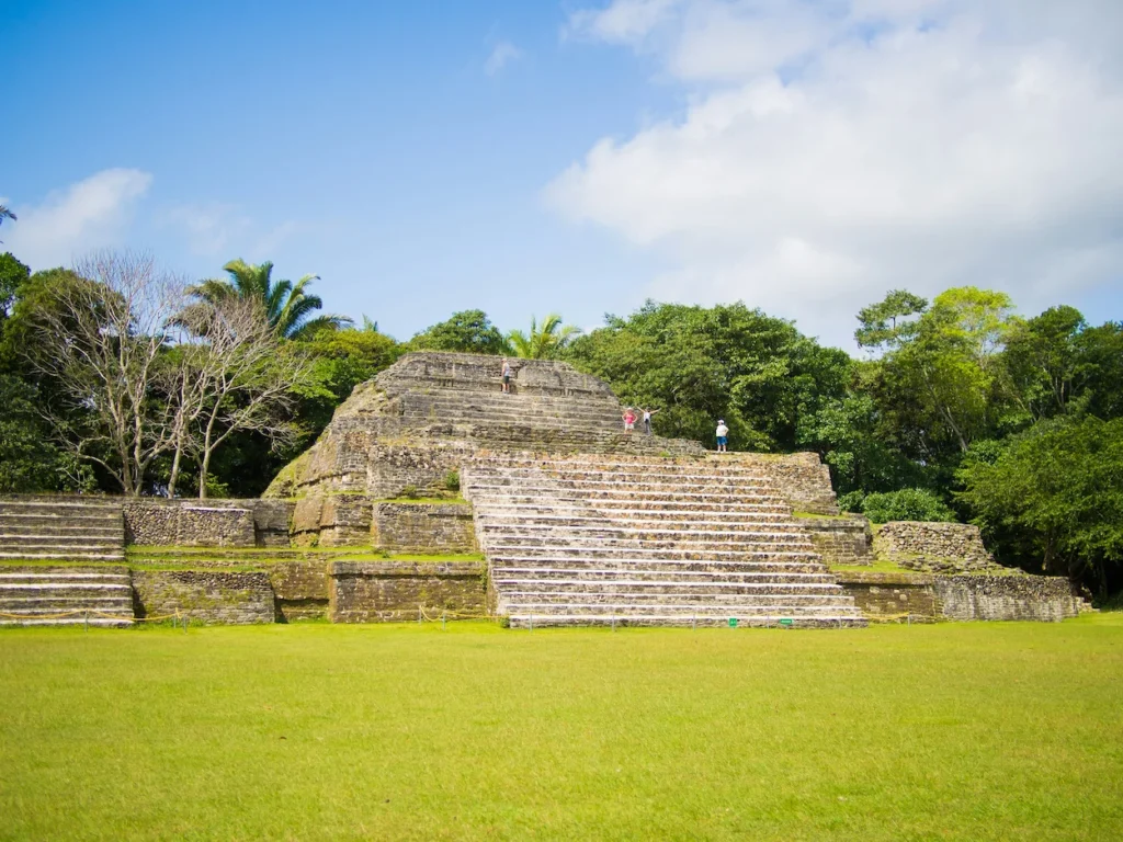 Ancient stone step pyramid surrounded by green grass and trees at the Altun Ha archaeological site