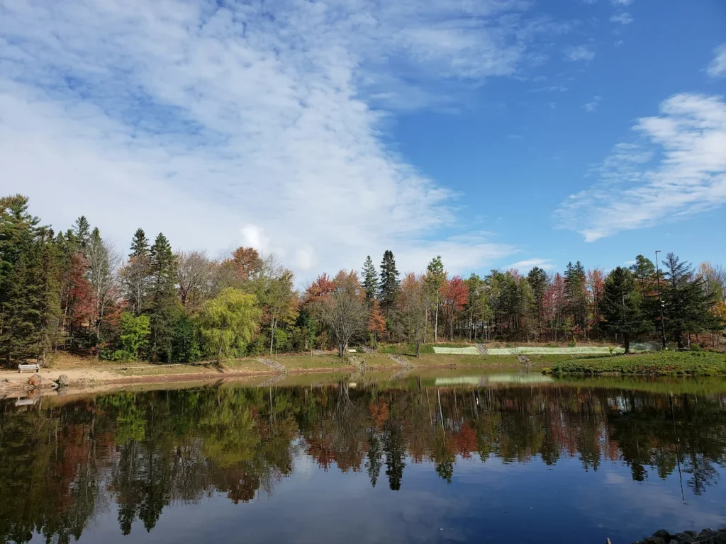 Vibrant autumn trees reflecting perfectly on the surface of a calm lake under a partly cloudy sky