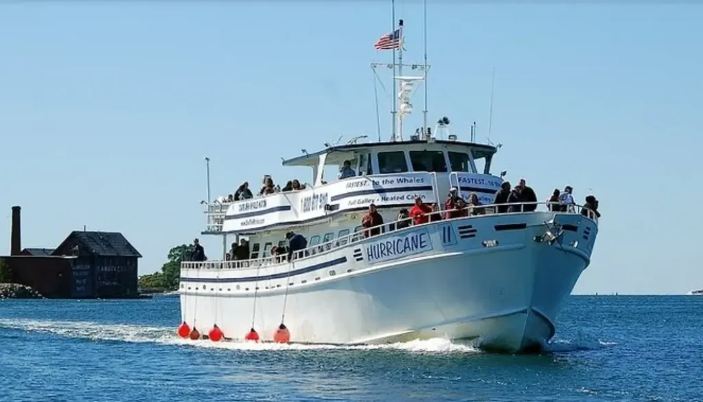 Gloucester's Whale Watching Tours