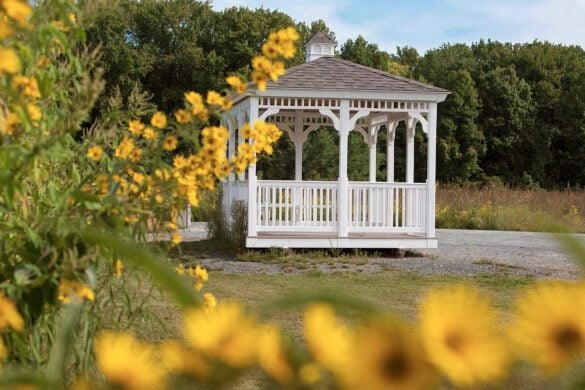 12 Stunning Hidden Gems in Maryland You Need to See