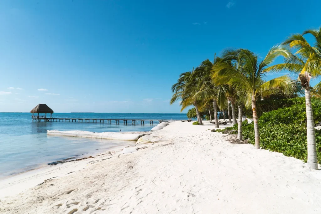 Wooden pier extending into turquoise ocean water next to palm trees on a Cancun beach