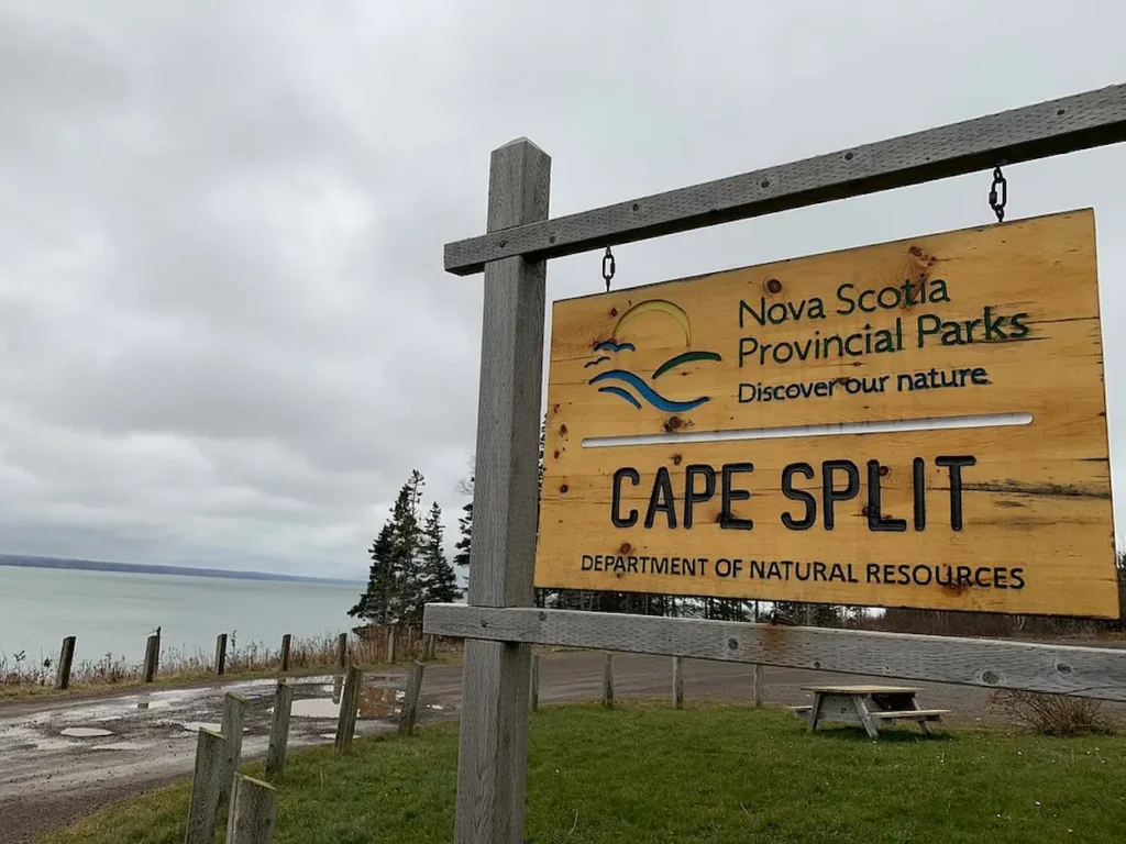 Cape Split forest hike with a clifftop meadow