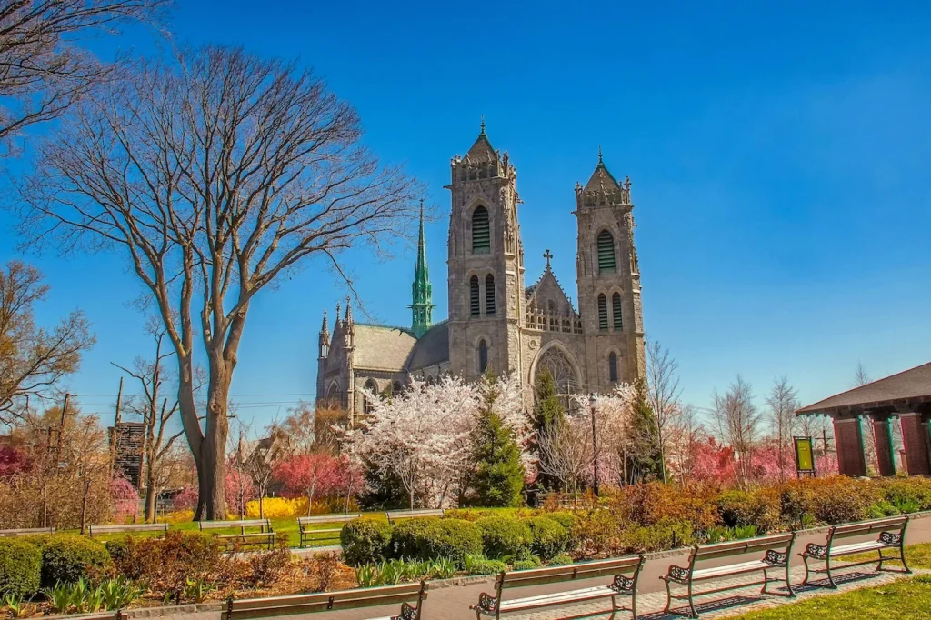 Gothic towers of the Cathedral Basilica of the Sacred Heart behind cherry blossom trees and park benches