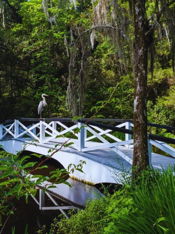 13 Cheapest Places to Fly From Charleston (Right Now) Global Viewpoint