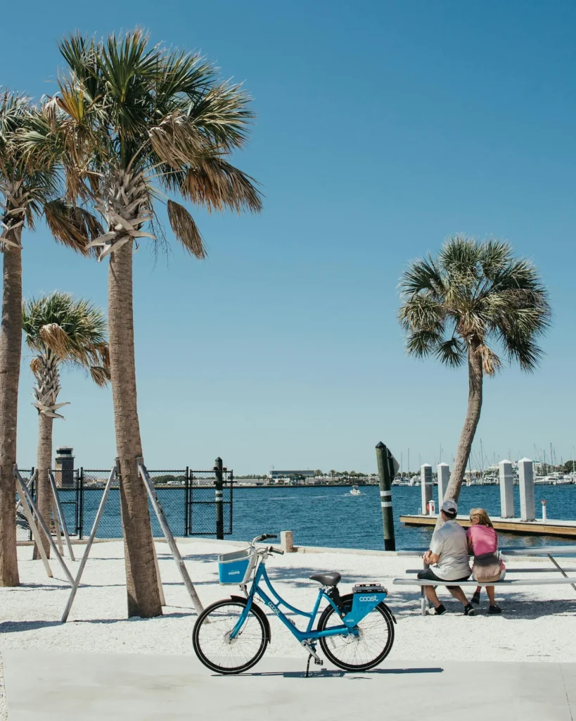 Blue Coast Bike Share bicycles parked in a row on the sidewalk next to Tampa Bay