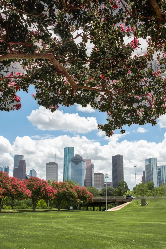 The downtown Houston skyline viewed across the green lawns of Eleanor Tinsley Park