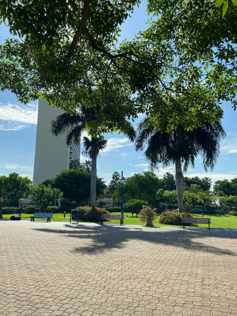 Paved walkway and park benches at Emancipation Park in Kingston with tall palm trees