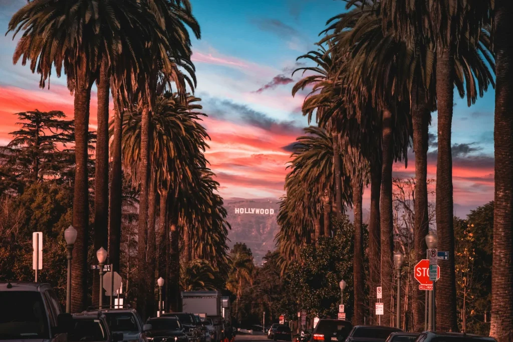 Hollywood Sign visible down Windsor Boulevard at sunset lined with rows of palm trees