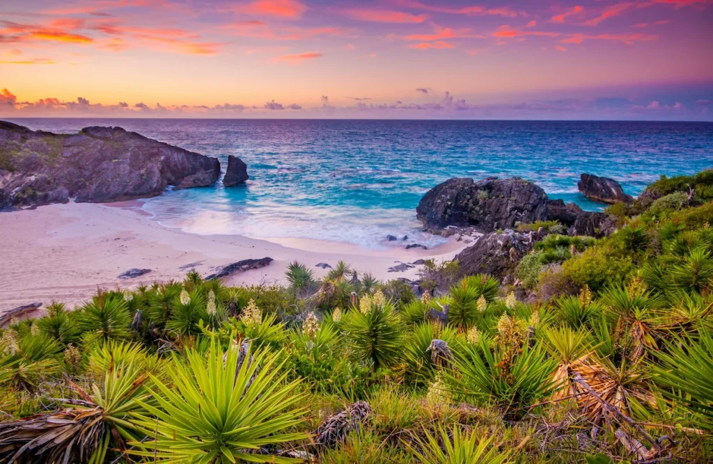High angle view of a sandy cove in Bermuda with limestone rocks and green coastal vegetation at sunrise