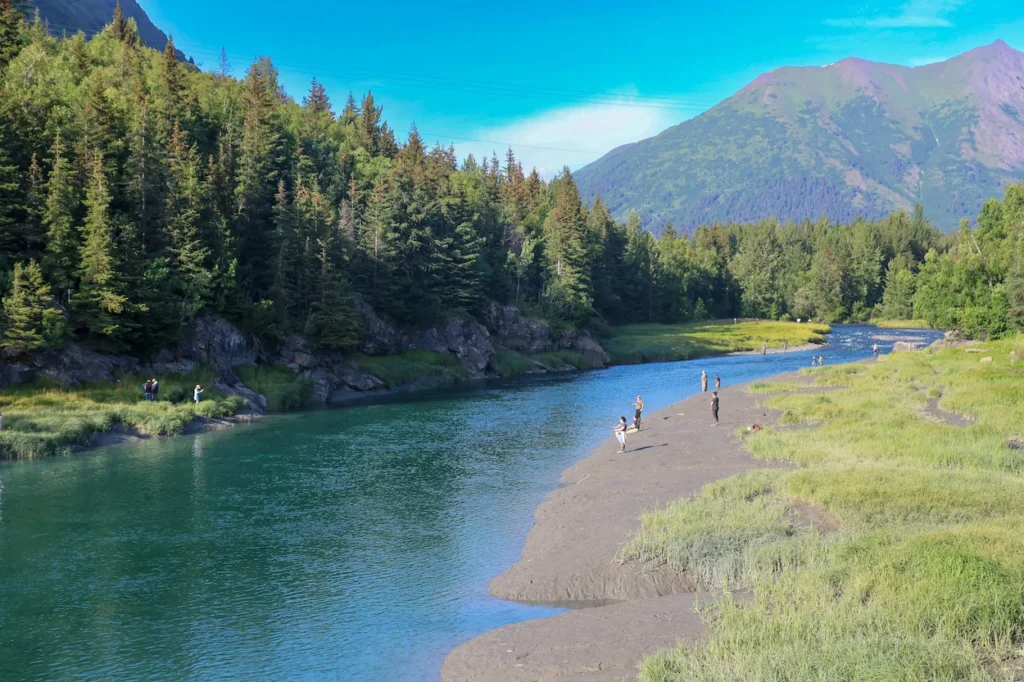 People fly fishing from a gravel bar on the turquoise Kenai River flanked by pine trees and green mountains