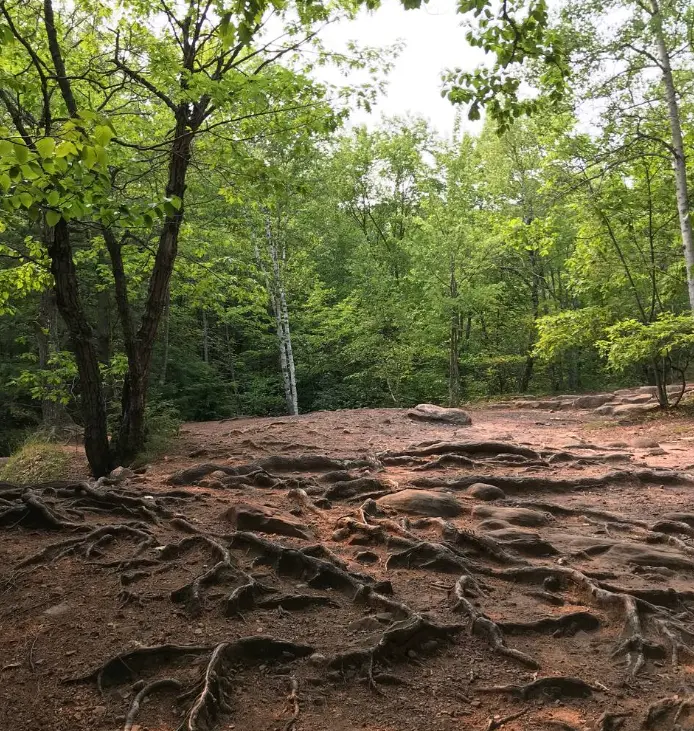 Hike to Hungarian Falls with a local