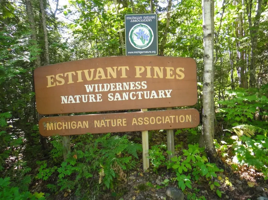 Estivant Pines Nature Sanctuary