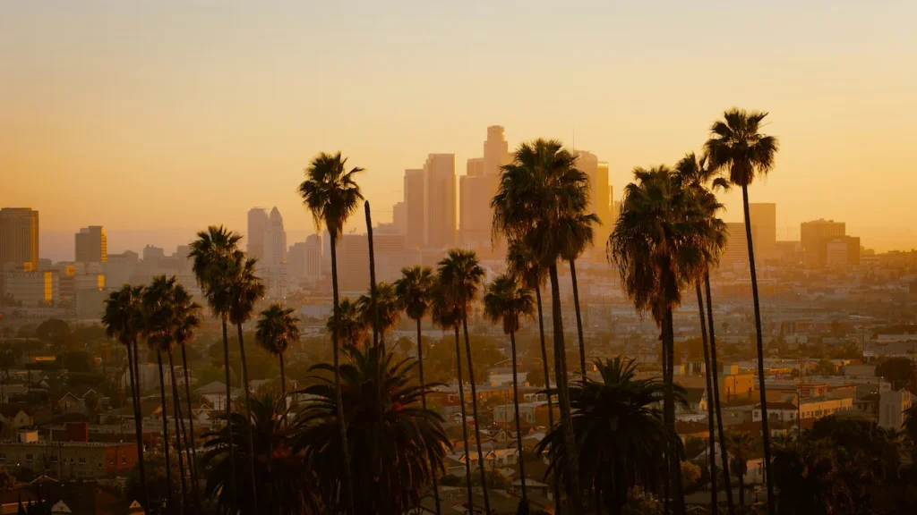 Los Angeles downtown skyline silhouetted behind tall palm trees at sunset