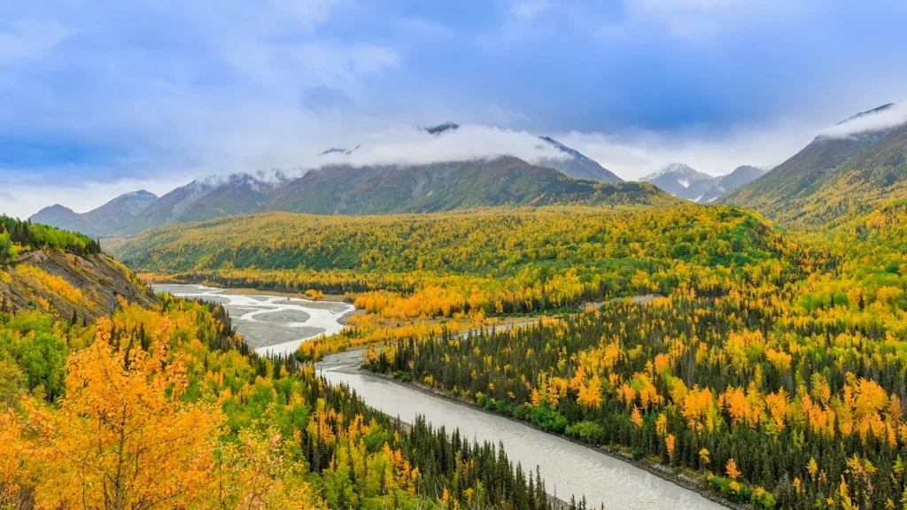 Matanuska River winding through golden autumn forests below low-hanging mountain clouds