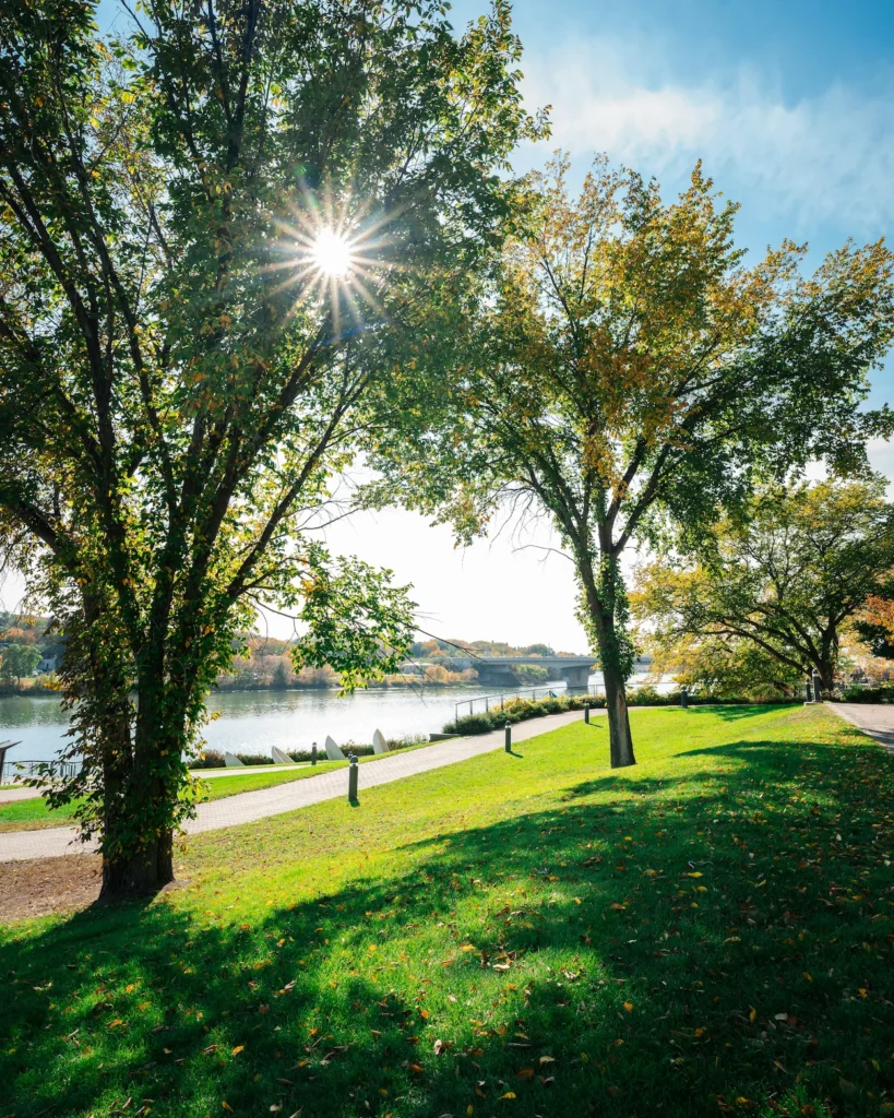 Sunburst shining through autumn elm trees beside Saskatoon's paved Meewasin Valley Trail