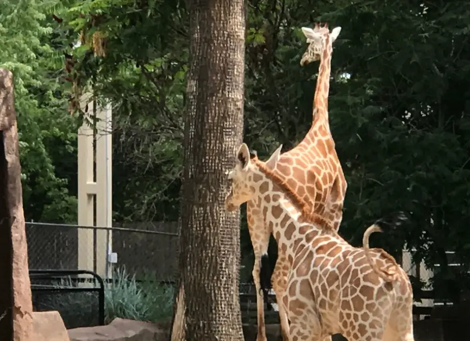 Milwaukee County Zoo