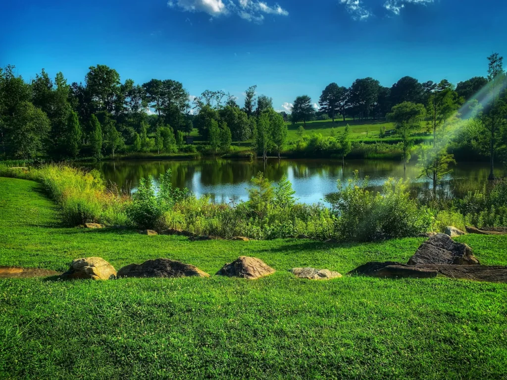 Lush lawn and rocks by a calm pond at the North Carolina Museum of Art park in Raleigh