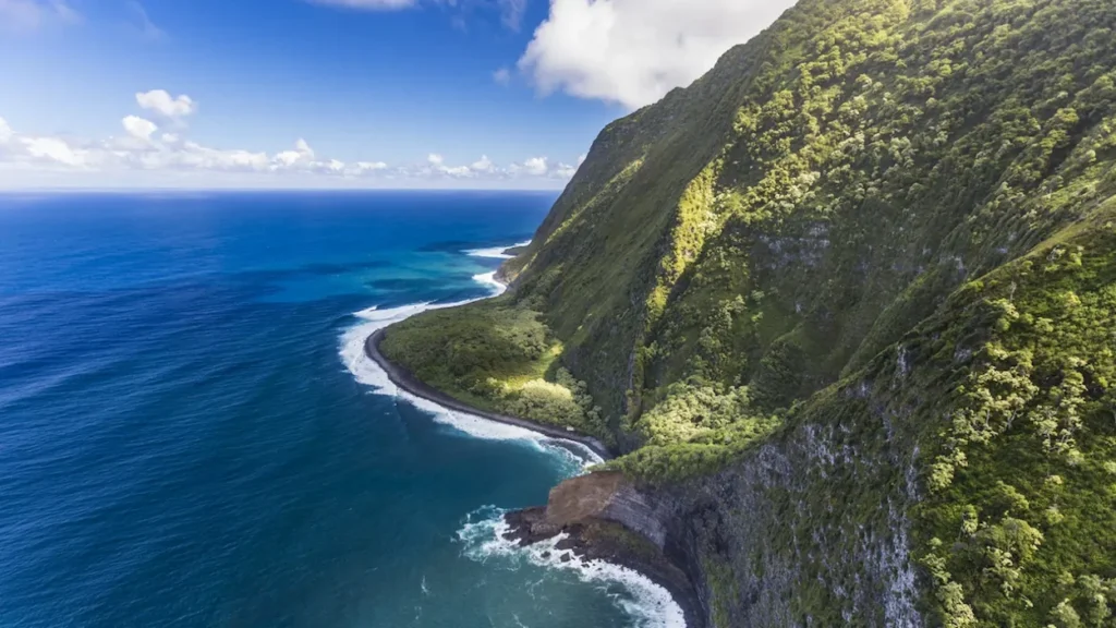 Aerial view of towering green sea cliffs meeting the deep blue ocean on Molokaʻi's north shore
