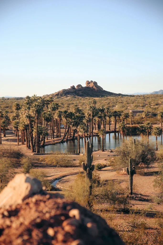The desert lagoon at Papago Park in Phoenix, Arizona, surrounded by palm trees and saguaro cacti
