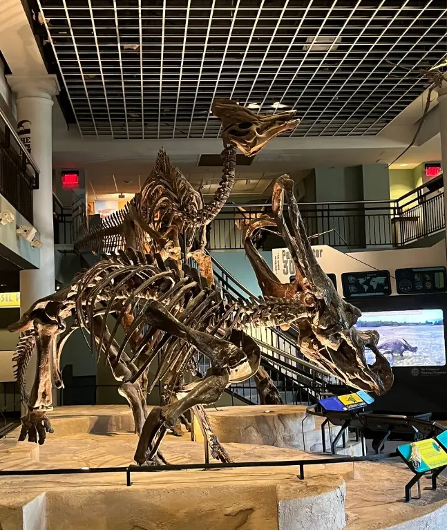 Academy of Natural Sciences of Drexel University