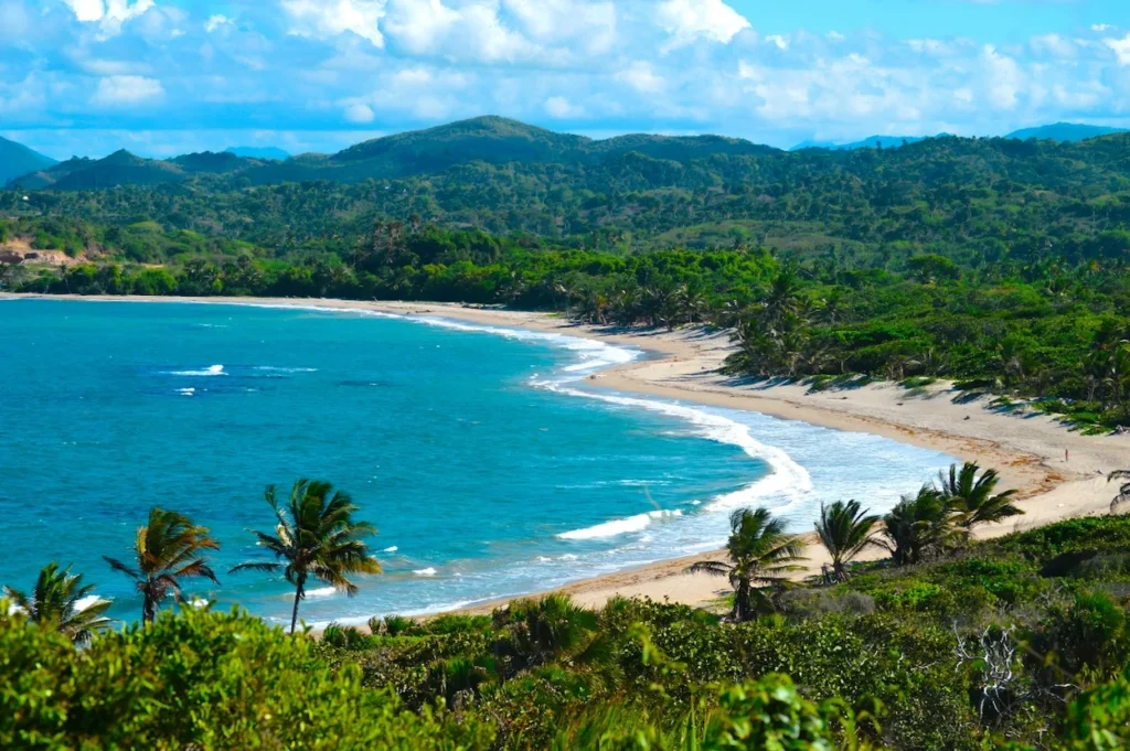 High angle look at a long crescent sand beach with turquoise water and palm trees