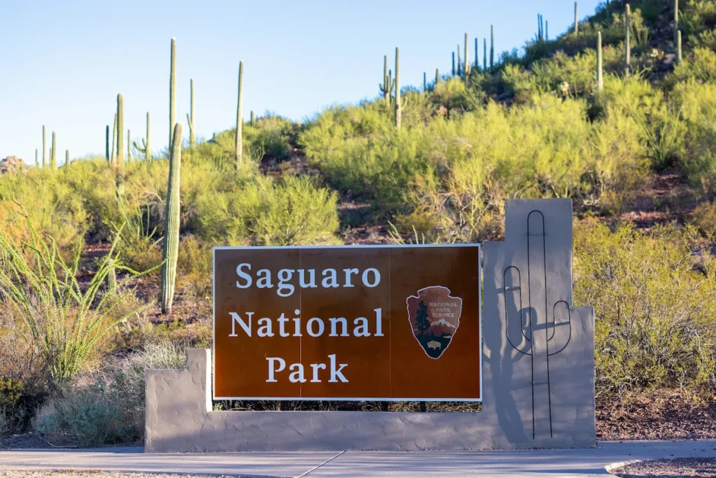Entrance sign for Saguaro National Park with a desert hillside full of saguaro cacti in the background