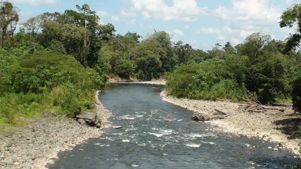 Sarapiquí's northern-lowland rainforest