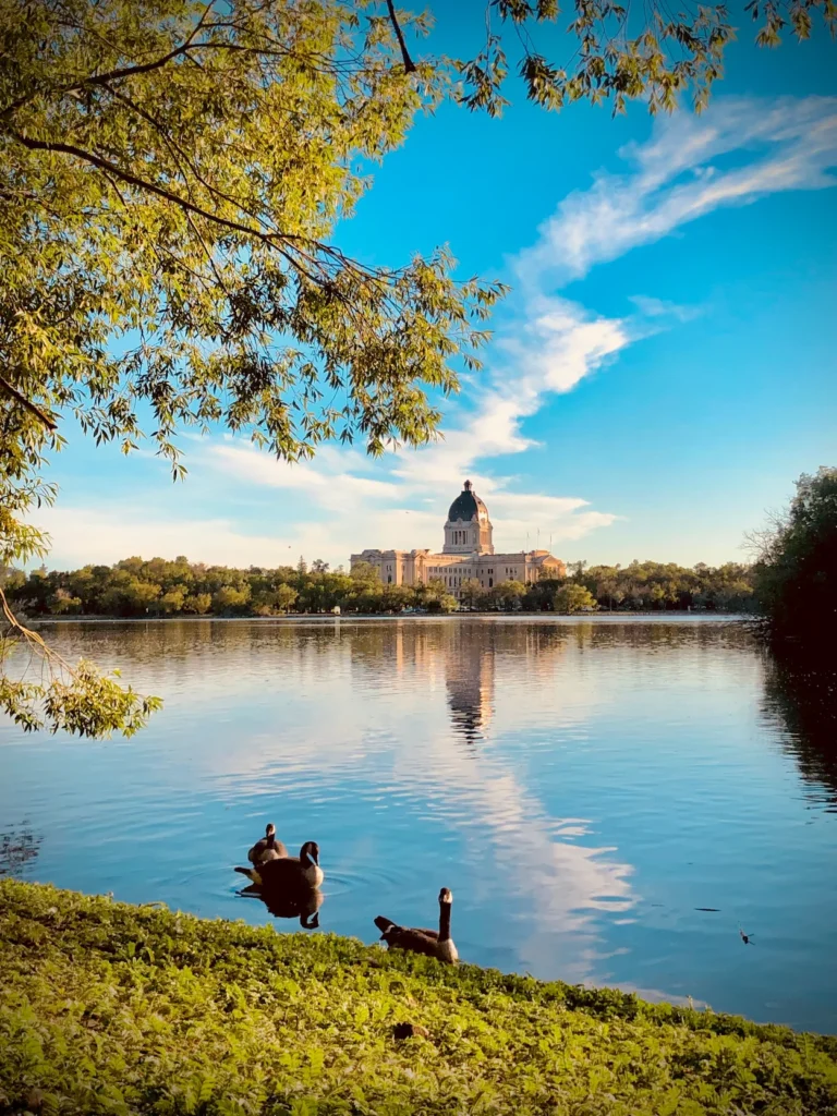 Canada geese swimming in Wascana Lake with Saskatchewan Legislative Building reflecting on the water