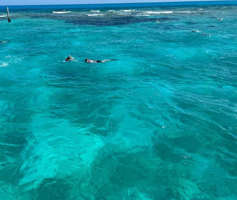 Coral Reef in Key Largo