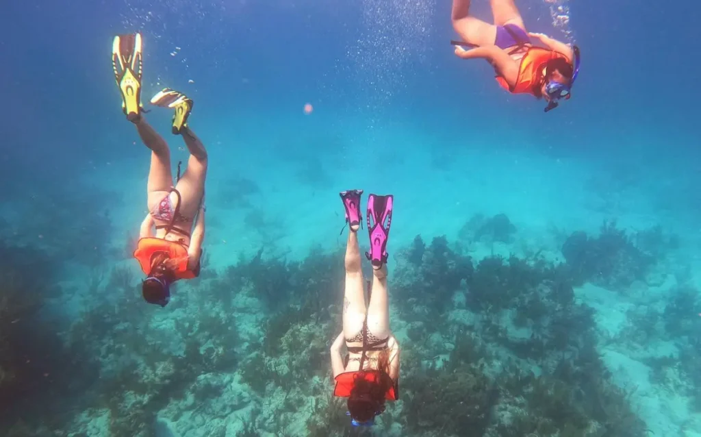 Key Largo Two Reef Snorkel Tour
