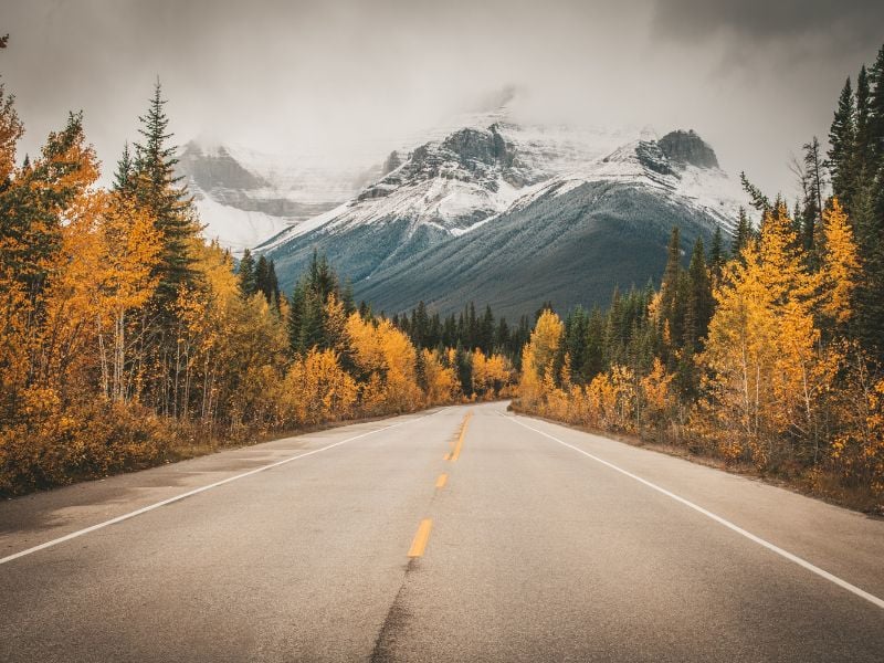 Boarding a flight to this Canadian gem, Calgary, has become one of the budget-friendly getaways from Spokane.