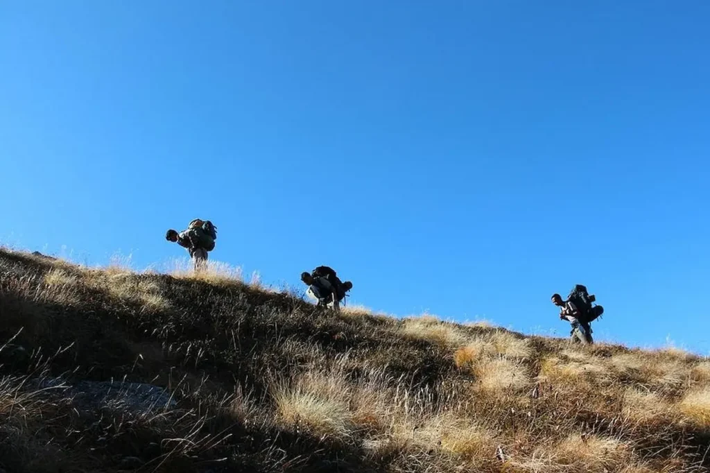 Nanda Devi National Park