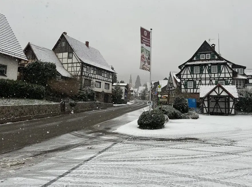 Black Forest Day Tour