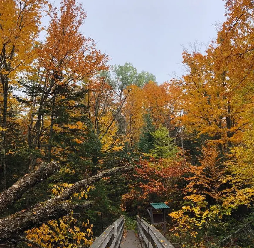 White Mountain National Forest
