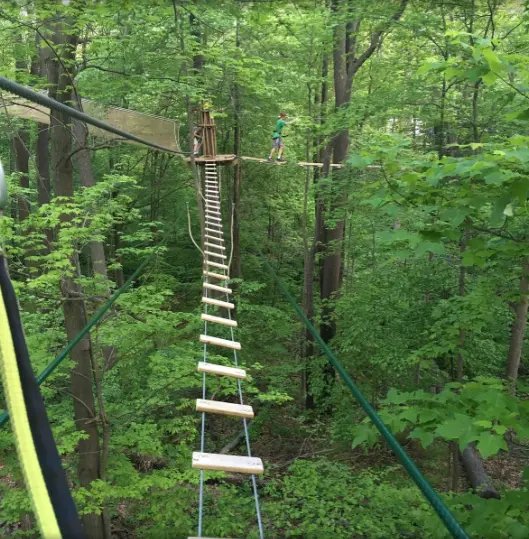 Go Ape Treetop Adventure Course