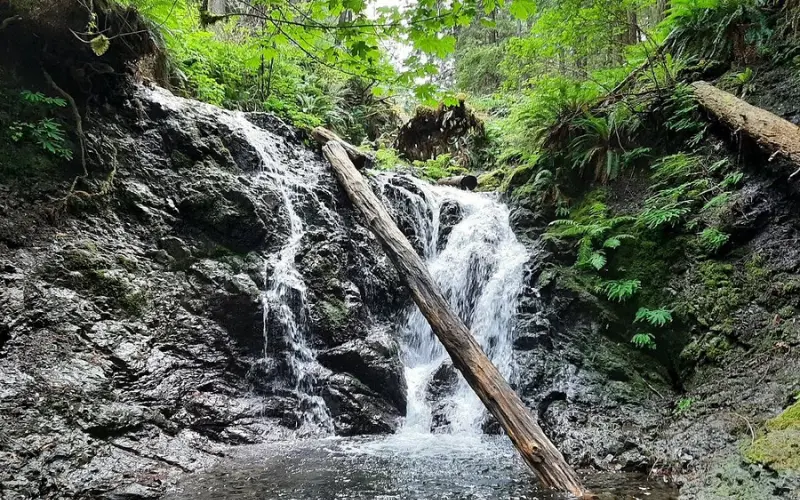 Small waterfall flowing over rocks surrounded by lush greenery at Moran State Park.
