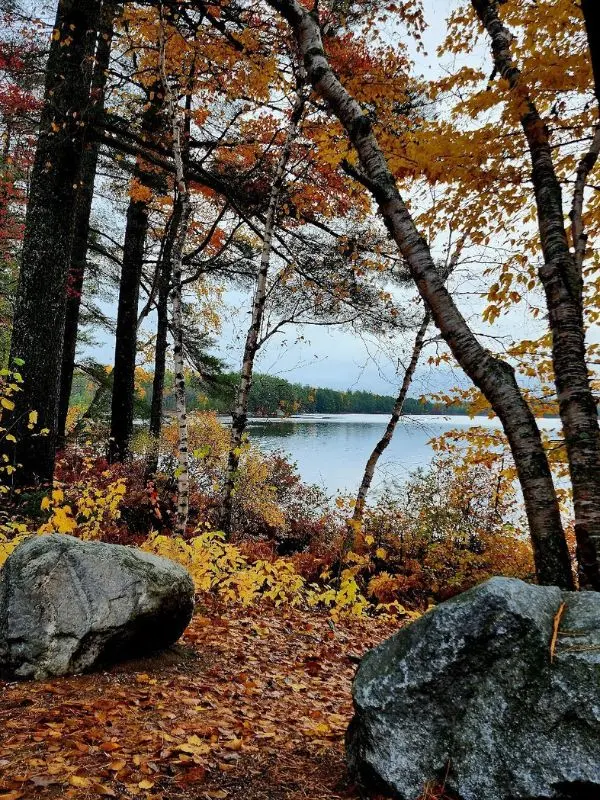 Autumn forest view by the lake in Baxter State Park.