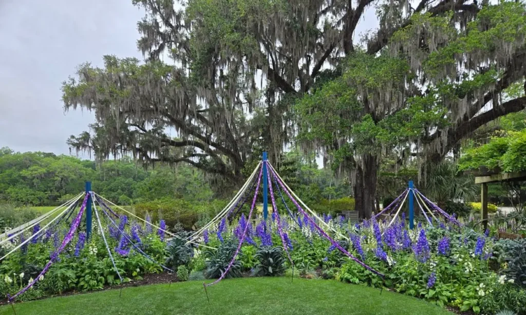 Colorful flowers and maypole decorations in the garden at Magnolia Plantation.
